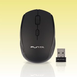 Punta Wm802 Wireless Mouse