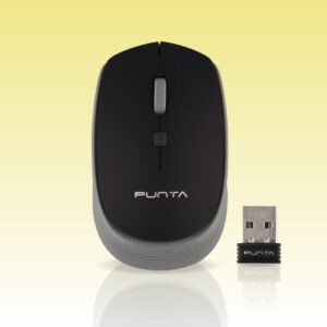 Punta Wm801 Wireless Mouse